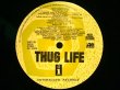 画像2: THUG LIFE / CRADLE TO THE GRAVE  (US-PROMO) (2)