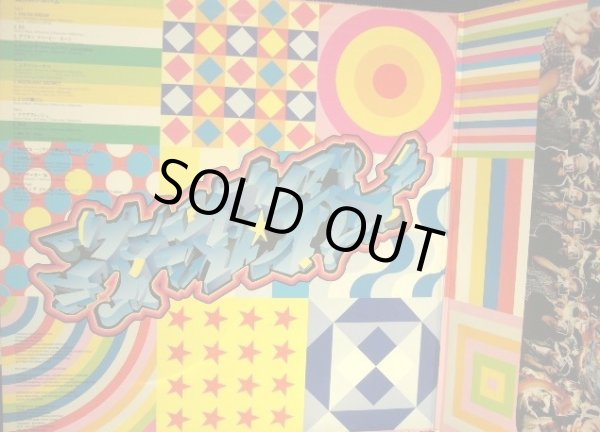 画像3: スチャダラパー / 偶然のアルバム  (2LP) (3)