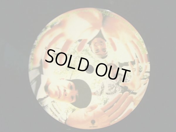 画像7: スチャダラパー / 偶然のアルバム  (2LP) (7)