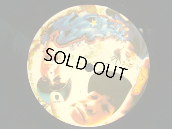 画像6: スチャダラパー / 偶然のアルバム  (2LP) (6)