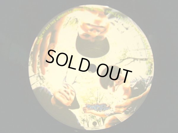 画像5: スチャダラパー / 偶然のアルバム  (2LP) (5)