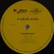 画像2: ERYKAH BADU / BADUIZM (LP) (2)