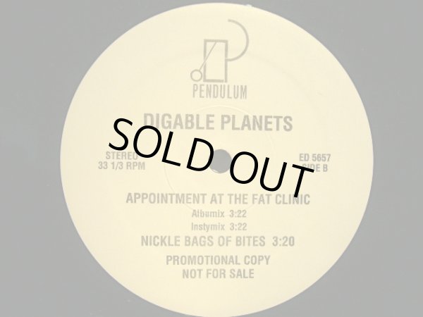 画像2: DIGABLE PLANETS / NICKEL BAGS  (US-PROMO) (2)