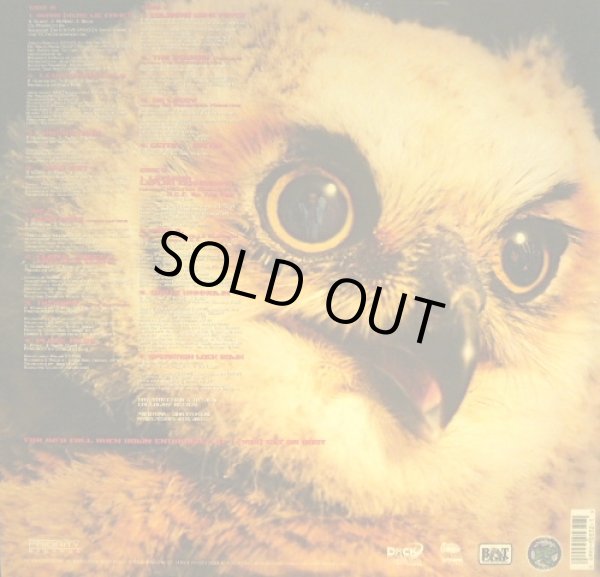 画像2: HELTAH SKELTAH / NOCTURNAL  (US-2LP) (2)