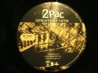 画像7: 2PAC / GREATEST HITS  (US-4LP) (7)