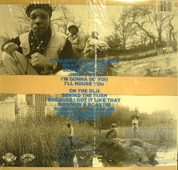 画像2: JUNGLE BROTHERS / STRAIGHT OUT THE JUNGLE  (US-LP) (2)