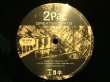 画像4: 2PAC / GREATEST HITS  (US-4LP) (4)