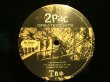 画像11: 2PAC / GREATEST HITS  (US-4LP) (11)