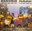 画像1: CHUBB ROCK ‎/ THE MIND  (US-LP) (1)