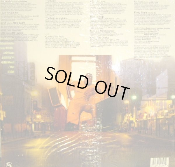 画像2: CHUBB ROCK ‎/ THE MIND  (US-LP) (2)