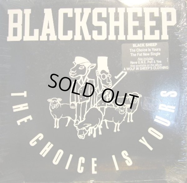 画像1: BLACK SHEEP / THE CHOICE IS YOURS  (1)