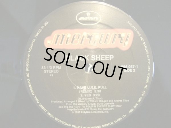 画像4: BLACK SHEEP / THE CHOICE IS YOURS  (4)