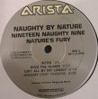 画像3: NAUGHTY BY NATURE ‎/ NINETEEN NAUGHTY NINE - NATURE'S FURY  (US-2LP) (3)