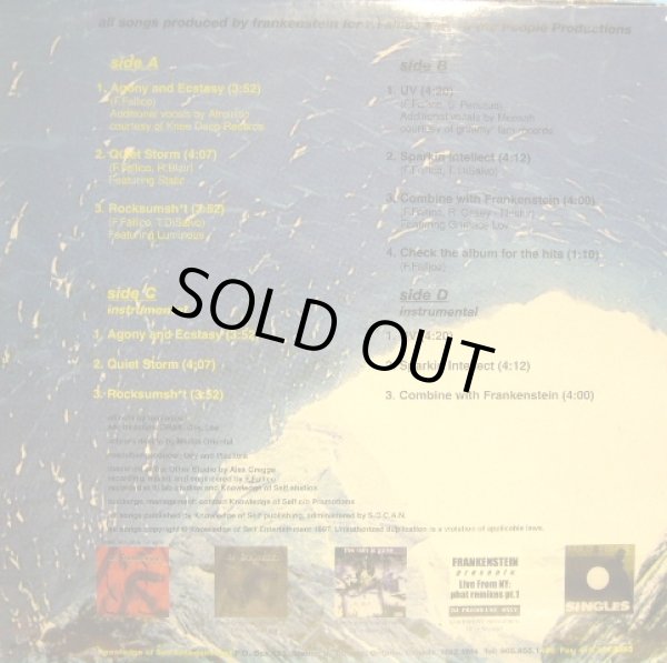 画像2: FRANKENSTEIN / UV  (2×12") (2)