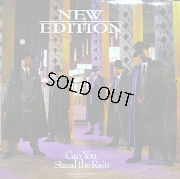 画像1: NEW EDITION ‎/ CAN YOU STAND THE RAIN (EXTENDED VERSION) (1)