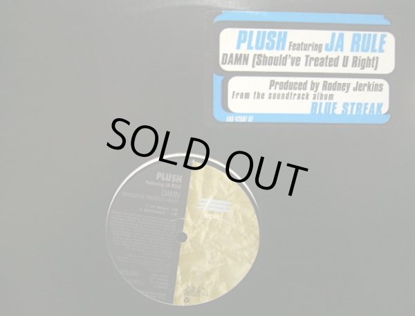 画像1: PLUSH FEATURING JA RULE ‎/ DAMN (SHOULD'VE TREATED U RIGHT) (1)
