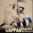 画像1: CAPPADONNA ‎/ THE PILLAGE  (2LP) (1)