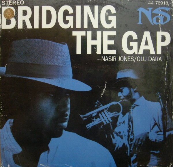 画像1: NAS / BRIDGING THE GAP (1)