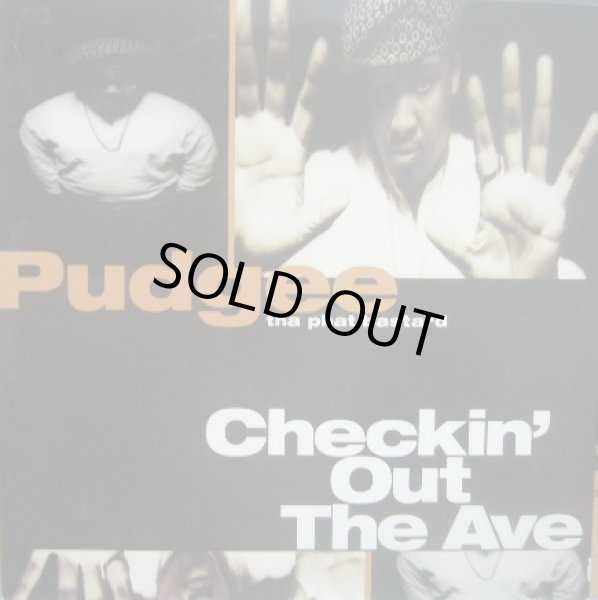 画像1: PUDGEE / CHECKIN' OUT THE AVE  (¥1000) (1)