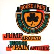 画像1: HOUSE OF PAIN ‎/ JUMP AROUND  (GEMA) (1)