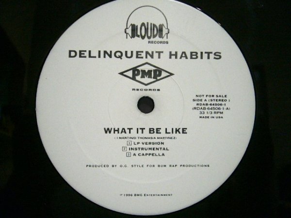 画像1: DELINQUENT HABITS ‎/ WHAT IT BE LIKE  (US-PROMO) (1)