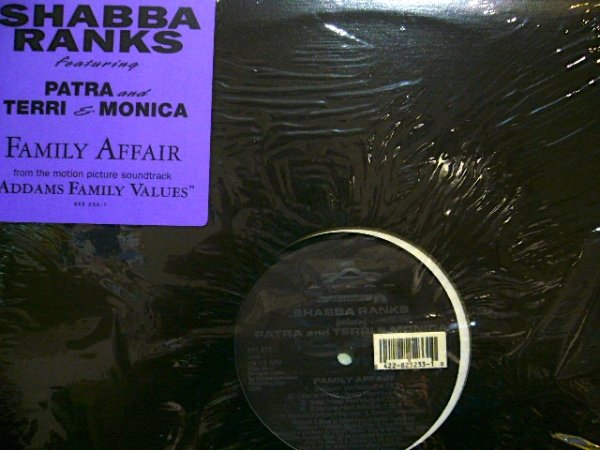 画像1: SHABBA RANKS Feat. PATRA AND TERRI & MONICA / FAMILY AFFAIR  (US) (1)