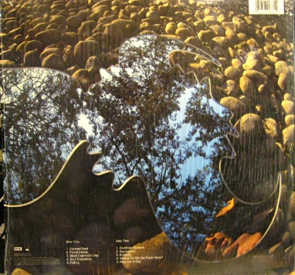 画像2: JAMIROQUAI / SYNKRONIZED  (US-LP) (2)