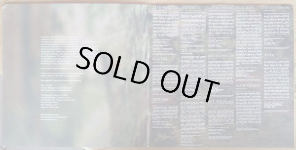 画像3: NORAH JONES ‎/ THE FALL  (US-LP) (3)