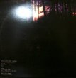 画像2: THA BLUE HERB /　SELL OUR SOUL　　（２LP） (2)