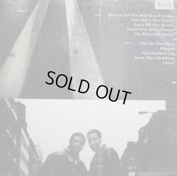 画像2: NICE & SMOOTH / JEWEL OF THE NILE (US-LP) (2)