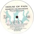 画像3: HOUSE OF PAIN / SHAMROCKS & SHENANIGANS (BOOM SHALOCK LOCK BOOM) / JUMP AROUND REMIXES (2 X 12") (3)