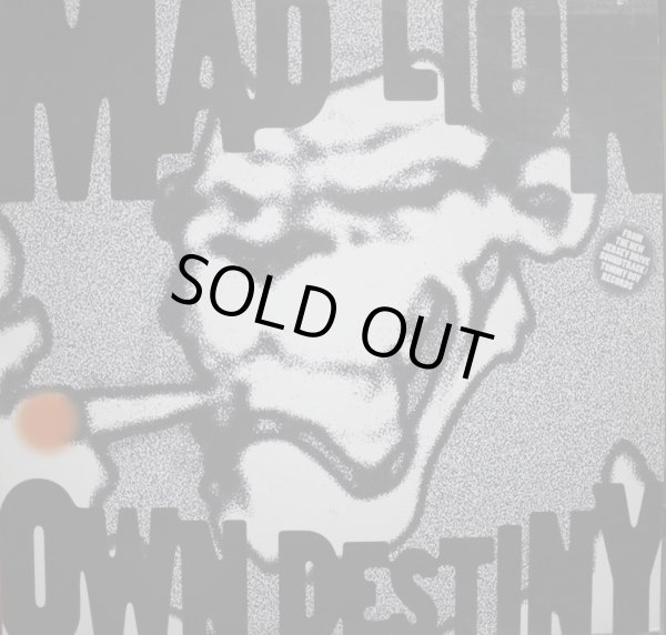 画像1: MAD LION / OWN DESTINY (1)