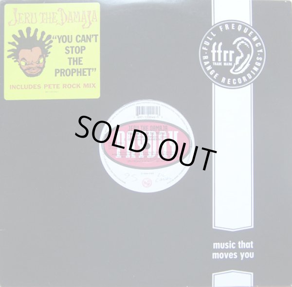 画像1: JERU THE DAMAJA / YOU CAN'T STOP THE PROPHET  (¥1000) (1)