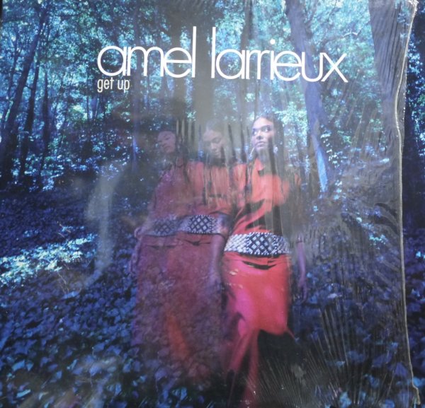 画像1: AMEL LARRIEUX / GET UP (1)