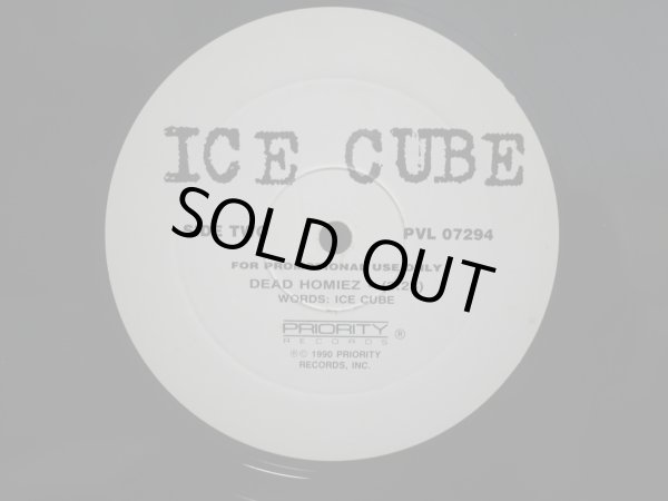 画像2: ICE CUBE / ENDANGERED SPECIES (TALES FROM THE DARKSIDE) (REMIX) / DEAD HOMIEZ (US-PROMO) (2)