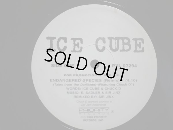 画像1: ICE CUBE / ENDANGERED SPECIES (TALES FROM THE DARKSIDE) (REMIX) / DEAD HOMIEZ (US-PROMO) (1)