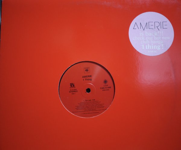 画像1: AMERIE / 1 THING (US) (1)