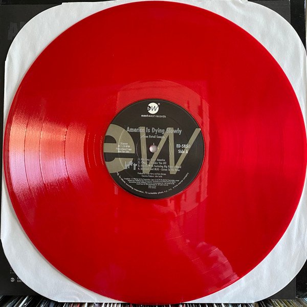 画像2: V.A. / AMERICA IS DYING SLOWLY (2)