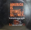 画像1: V.A. / AMERICA IS DYING SLOWLY (1)