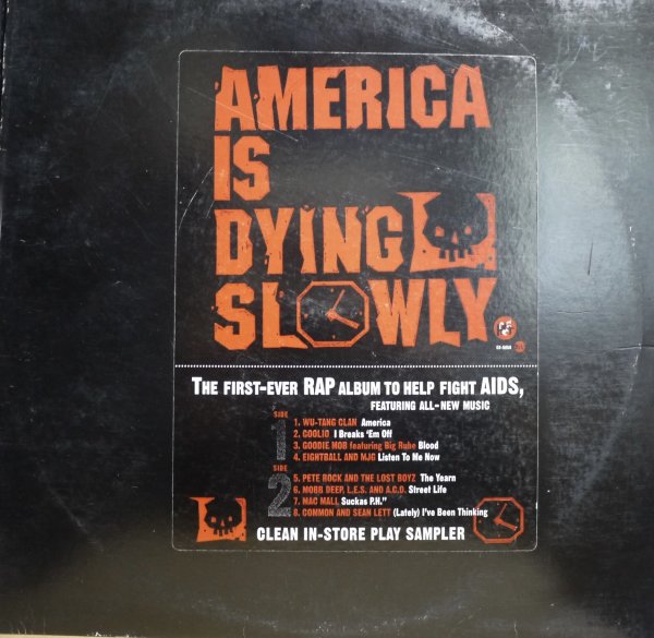 画像1: V.A. / AMERICA IS DYING SLOWLY (1)
