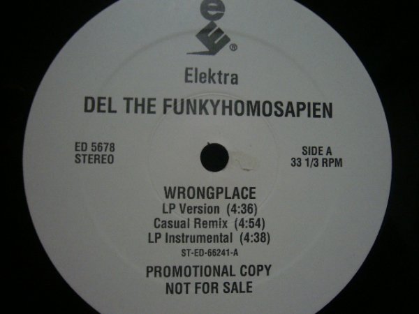 画像1: DEL THE FUNKYHOMOSAPIEN / WRONGPLACE (1)