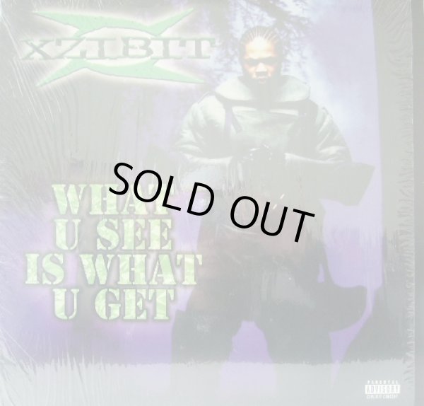 画像1: XZIBIT / WHAT U SEE IS WHAT U GET  (1)