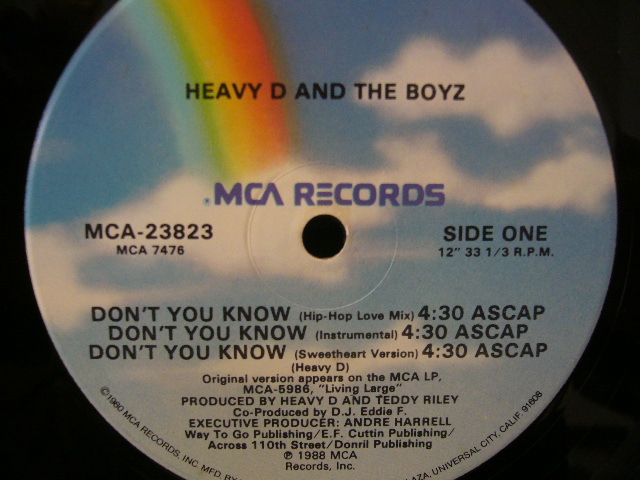 HEAVY D  THE BOYZ DON'T YOU KNOW SOURCE RECORDS (ソースレコード）